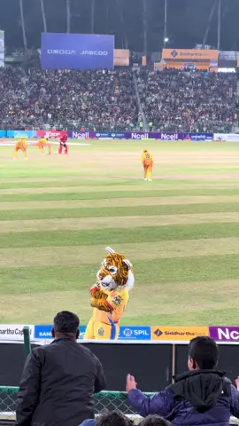 Baddau in NPL🐯#nepalpremierleague #cricket #fyp #mascot #viral 