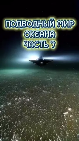 #океан#подводныймир