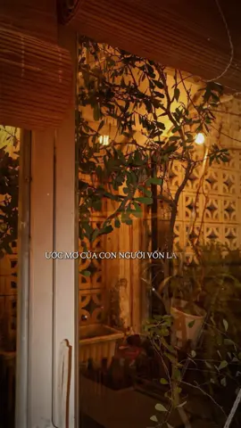 Ước mơ của con người vốn là thứ…! #dangtrenconduong #trending #xuhuongtiktok #caunoihay #quyettam 