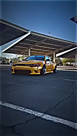 #جارجرات_العراق_الفخامه_الامريكي_🖤#جارجرات_العراق_الفخامه_المتعه _🖤