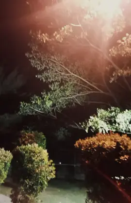 #CapCut #trend #liriklagu #viral #umurmakintua 