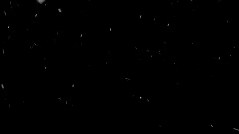 My Everything My best Friend 🥹❤️‍🩹✨ ‌ ‌ ‌ ‌ ‌ @–𝐘ȯᴜʀᥫ᭡ꋊ𝐑ɪғᴜ 🥂🖇️ ‌#tiktok #viralvideo #foryou #foryoupage #fypシ @For You @TikTok 