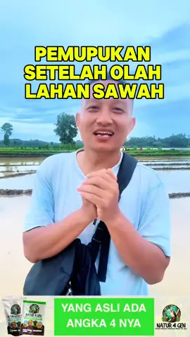 Pemupukan setelah olah lahan sawah #omdenn #naturagen #petani #naturagenserbuk #naturagenxtra #petaniindonesia🇮🇩🇮🇩🇮🇩🌿🌿 #pertanian #naturagencair #padi #petanimuda #petanimudasukses #petanimilenial 