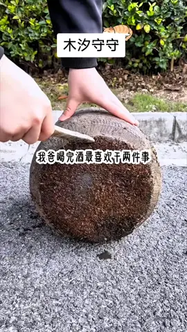 知乎搜索：木汐守守 #小说 #原神 #小说推文 