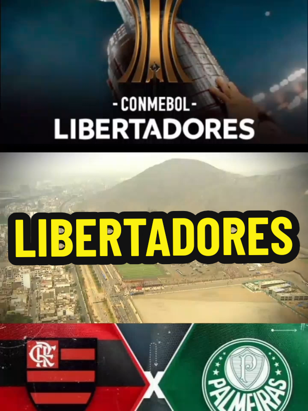 #libertadores 
