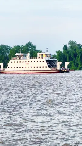 Miền Tây bình yên vậy đó, phà chạy chầm chậm mà thương nhiều #xuhuong #canhdep #mientay #chill 