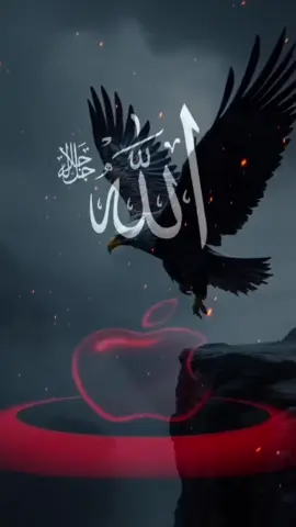 #creatorsearchinsights2025 يقول الله عز وجل٫ يا عبدي#viail_islmac_vodeo#foryoupage❤️❤️ #fypviralシtiktok 