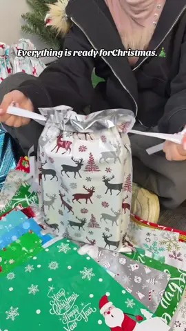 This Christmas 🎄 can prepare everything. Now this packaging bag is on sale.#tiktokmademebuyi #tiktokshop #christmasgift #packagingbag 