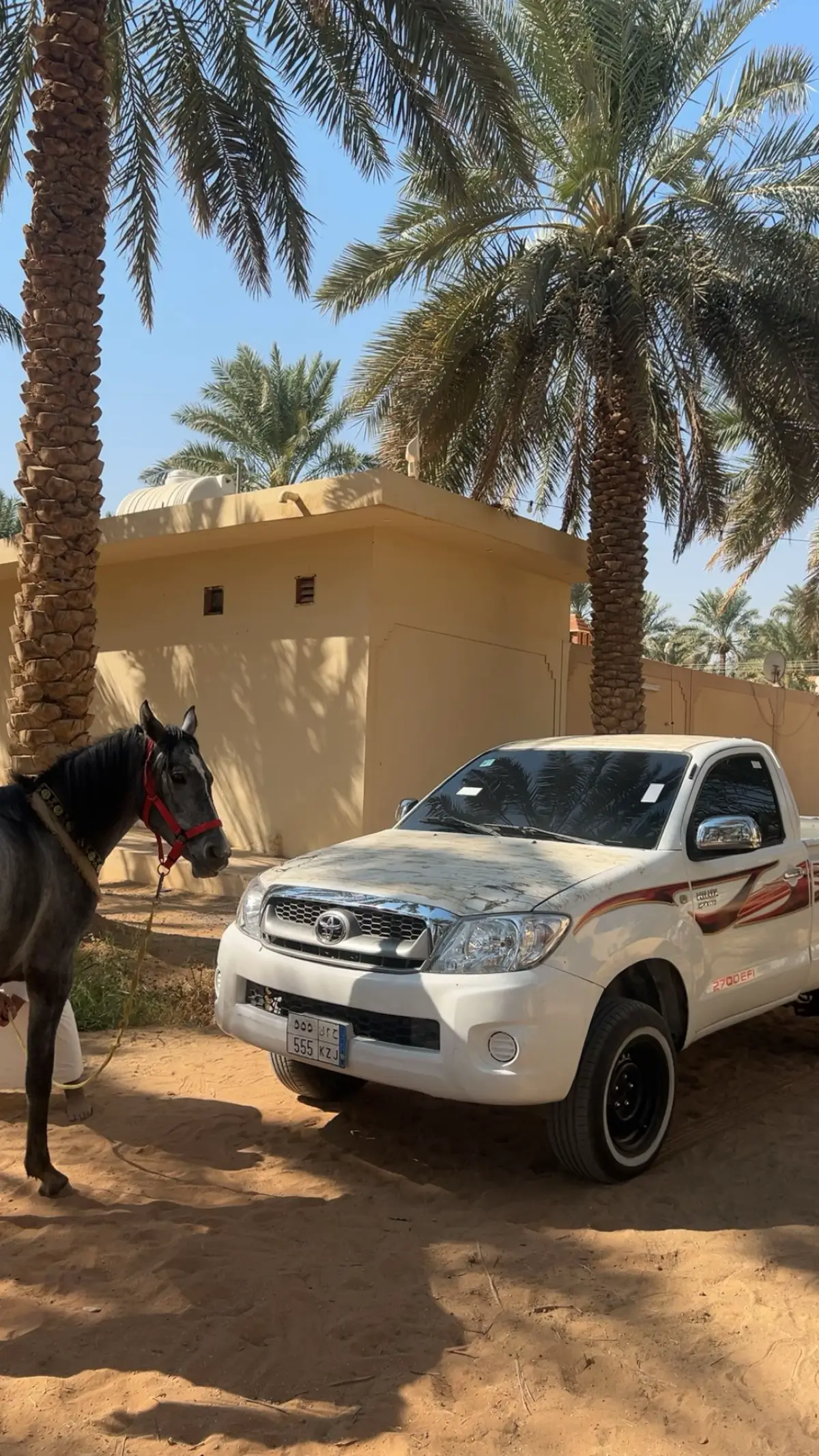 #هايلوكس #الخبوب_تعليم_وأمجاد👑 #ملكزز #تطعيس #بريده 