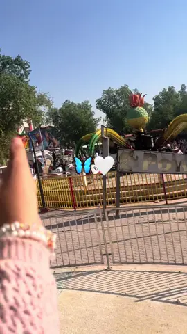 #سفره #سفره #🤎 #🦜 #🦋 