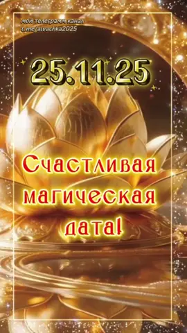 #магическаядата #25ноября #алвачка #alvachka 