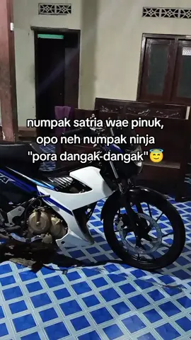 kapan yo due ninja🥺#satria #satriaf150 #satriafu #fyp #masukberanda 