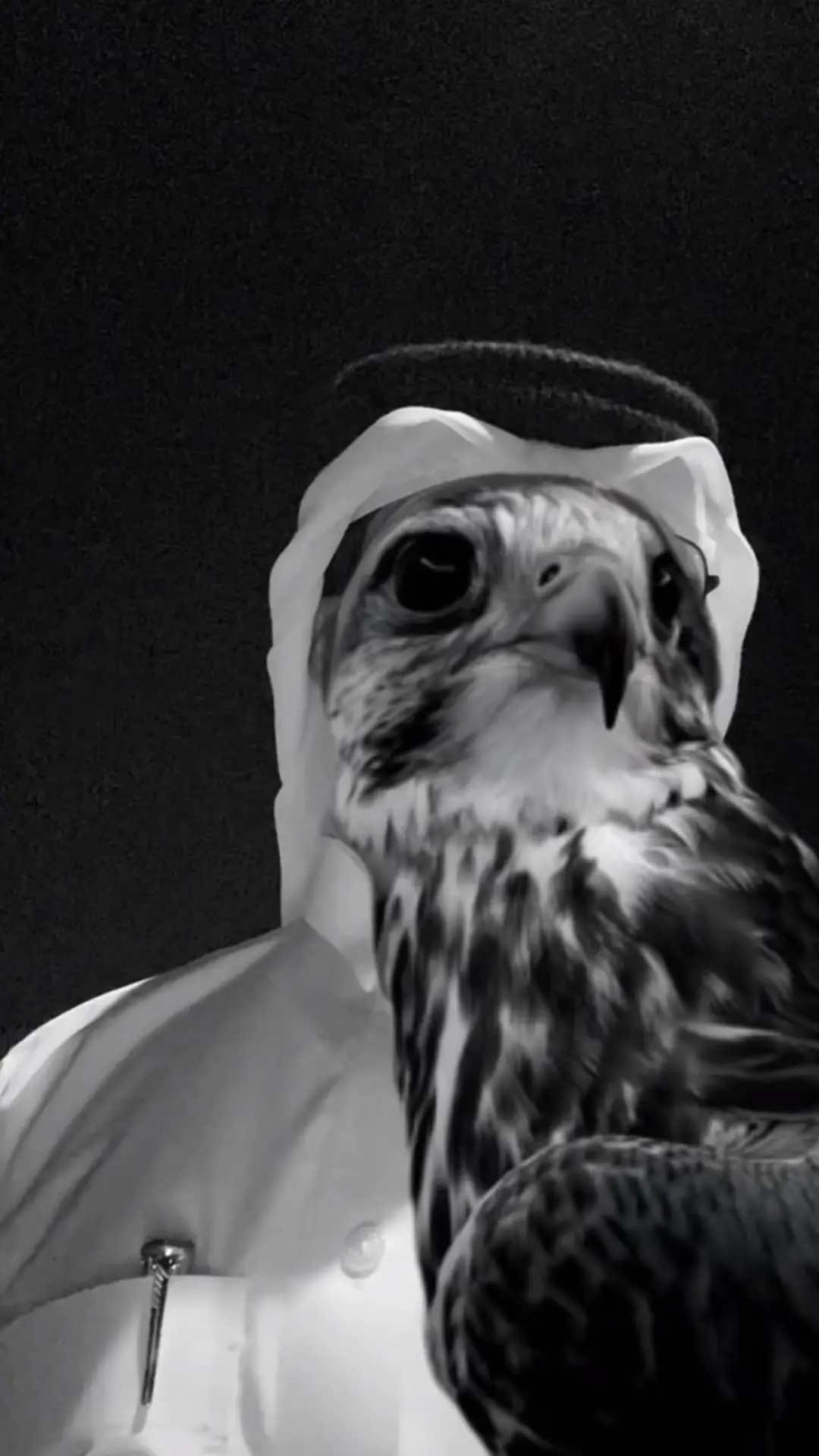 #fyppppppppppppppppppppppp #fyp #fy #مالي_خلق_احط_هاشتاقات 