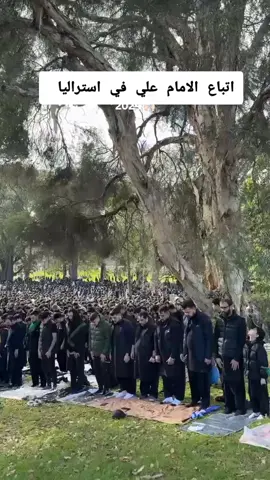 #الامام_علي #احفاد_علي_الكرار #اشهدوا__ان__علي_ولي_الله 