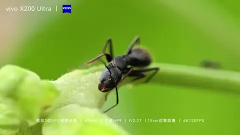 Đây hiện là ống kính tele tiềm vọng tốt nhất hiện có.#vivox200ultra 