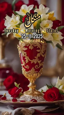 Good Morning,Subah Bakhair صباح الخیر,Tuesday Status🤲❤️🤲❤️🤲❤️🥀.                       #goodmorning#foryoupagе#fyp#standwithkashmire#صباح_الخير