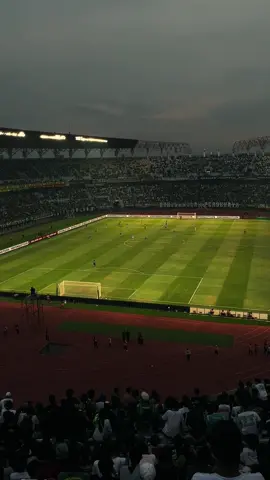 i love the city and its proud fotball club💚 #persebaya 