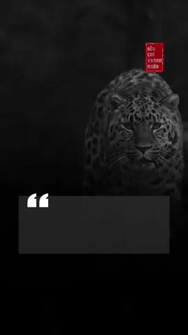 Người có học mà bất hiếu – thì không thể gọi là trí thức chân chính. Tri thức không thể tách rời đạo làm con, vì đó là gốc rễ đầu tiên trong nhân cách. #Sachbenchithanhnhan #Benchithanhnhan 