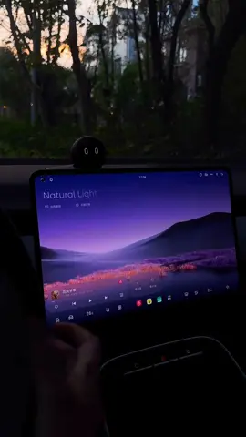 #carsvideos #interior #fyp #carscreen #viralvideo 