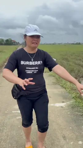 Thương bà con Phú Yên lắm #toiyeuvietnam #dongmauviet #tinhyeuvietnam #tintuc #fyp 