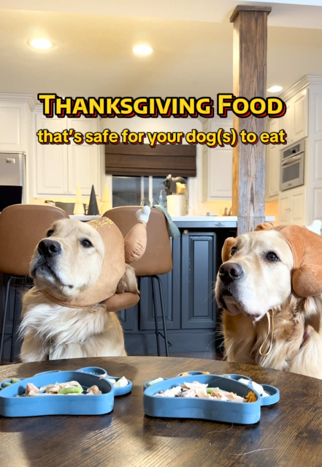 Happy Thanksgiving Week!  Here are some dog safe foods you can give your dog. Holidays that involve lots of food can, unfortunately, result in pancreatitis and other stomach issues for dogs—if you’re having folks over, make sure everyone knows what’s safe to give your dogs (and always do so in moderation!) #dogtok #dogsafety #psa 