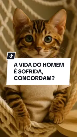 A vida do homem e sofrida concordam ? #gatinhos #fouryou #comédia #catsoftiktok #cutecat 