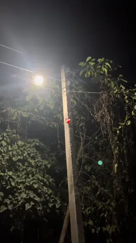 Koi galat nahi hai😔💔 #mightyankit #part88 #foryoupage #birgunjmuser #nightview 