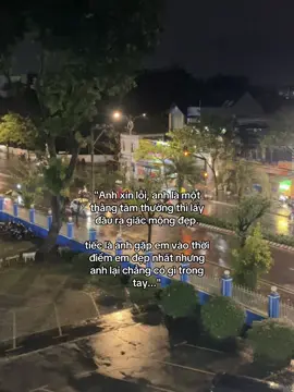 Anh xin lỗi, anh là một thằng tầm thường thì lấy đầu ra giấc mộng đẹp. tiếc là anh gặp em vào thời điểm em đẹp nhất nhưng anh lại chẳng có gì trong tay...