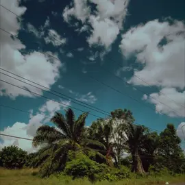 🫣💖#เธรดเพลง #fypシ゚ #รับโปรโมทเพลง #ยืมลงสตอรี่ได้ #อย่าปิดการมองเห็น 