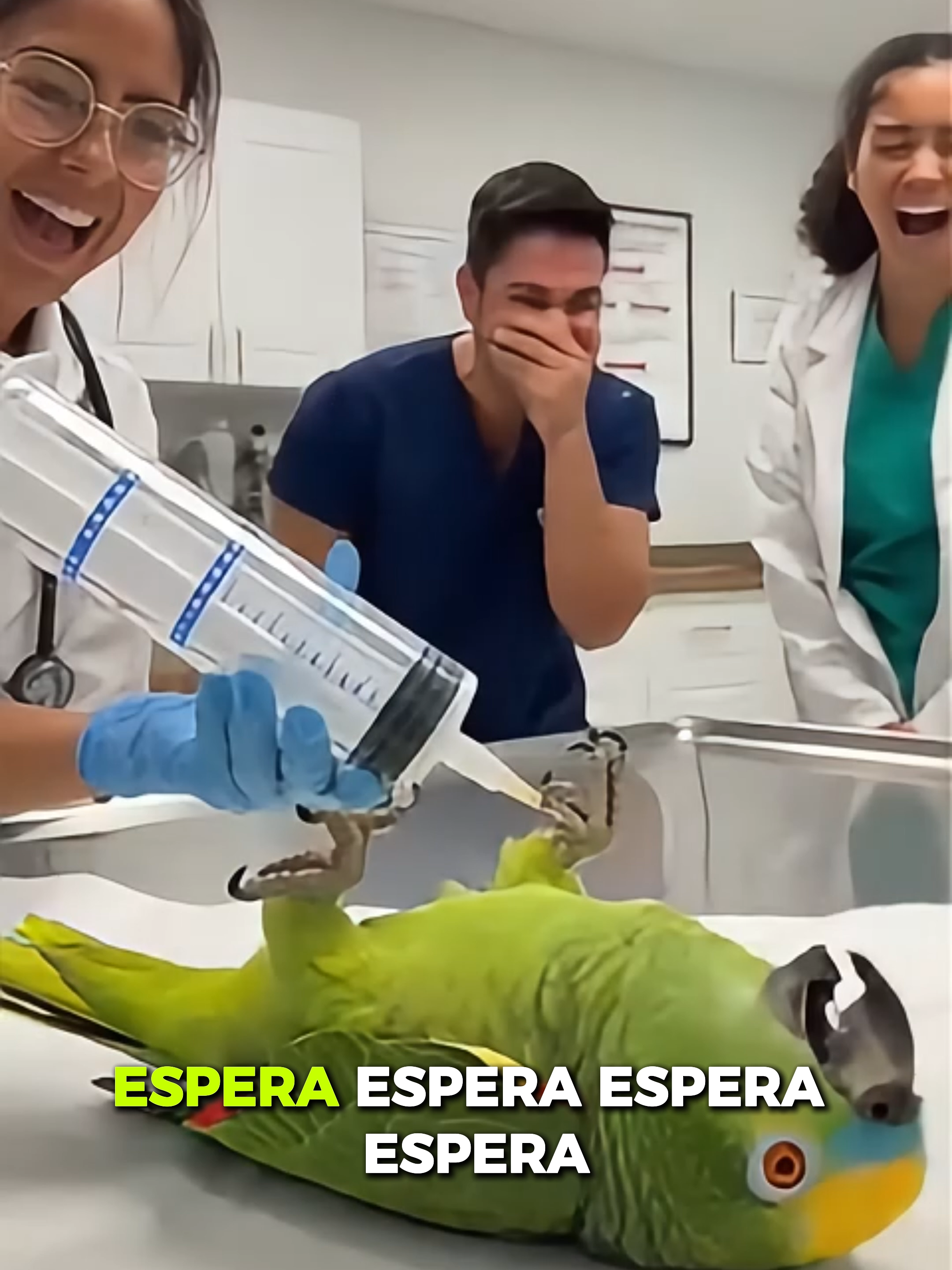 El veterinario solo sacó la jeringa… y el loro confesó hasta lo que NO hizo 😂💉🦜 #loro #humor #españa #funnyparrot #viral #loro #lorohablando #humor #parati #fyp #viral #risa #comedia #españa #animales