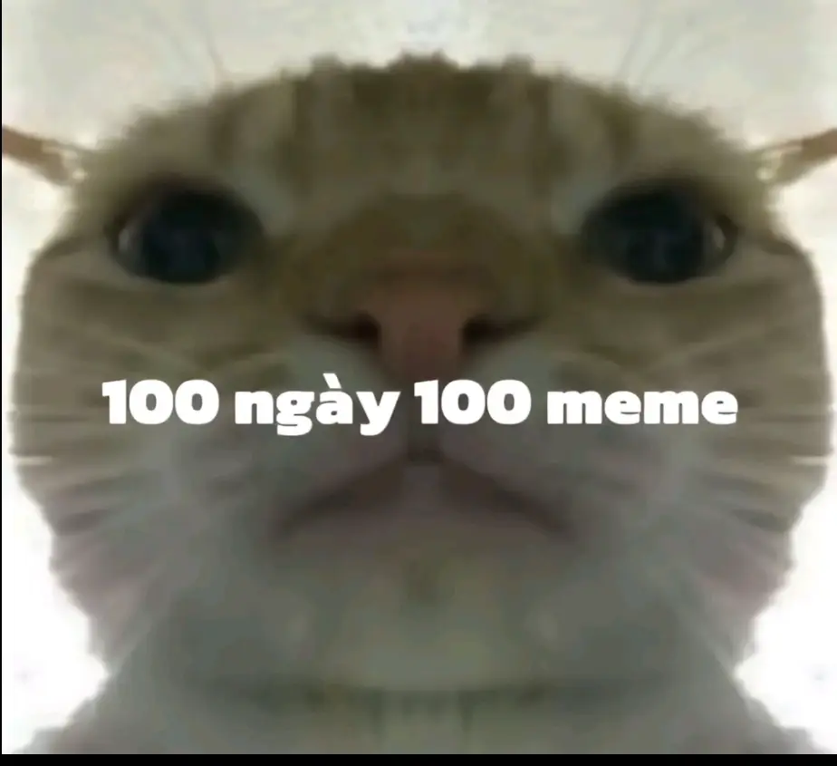 #fyp #foryou #popular #memes 