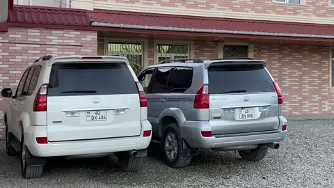 808🩶 404🤍@🇩🇪77FF404 #40bv808 #808 #404 #keşfet #fyp 