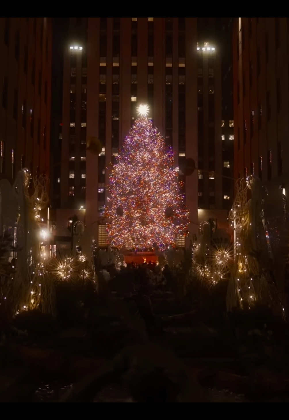 Carol of the Bells - Mykola Leontowytsch #christmas #carolofthebells #xmas #kevin #homealone 