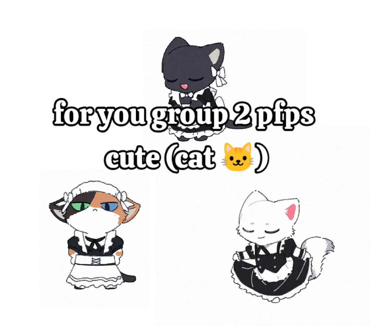 hi vọng xu hướng 🐱#pfps #foryou #meow #