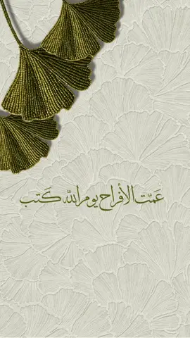 فيديو مجاني  #تهنئة_عقد_قران_بدون_اسم #فيديو_عقد_قران #تهنئة_مجانية #بشارة_عقد_قران_مجاني #عقد_قران 