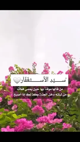 #اللهم_انت_ربي_لا_اله_إلا_أنت_خلقتني  🤍🤍🤍