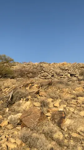 #ربوع_العين_ديار_متعان #مقناص_الصيد_يشرح_الخاطر_اكسبلور 