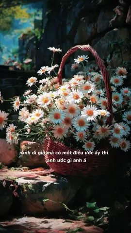 #topxuhuong #xhtiktok #fyp #fyppppppppppppppppppppppp #tamtrang  