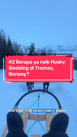 My first ever Husky Sledding di Tromso, Norway🇳🇴 menurut kalian worth it gaa? Jujur ini dingin banget, tangan muka telinga udah sakit bangettttt😭 krn lama bgt 1 jam!!!!😭 #tromso #tromsonorway #traveltiktok #serunyaditiktok 