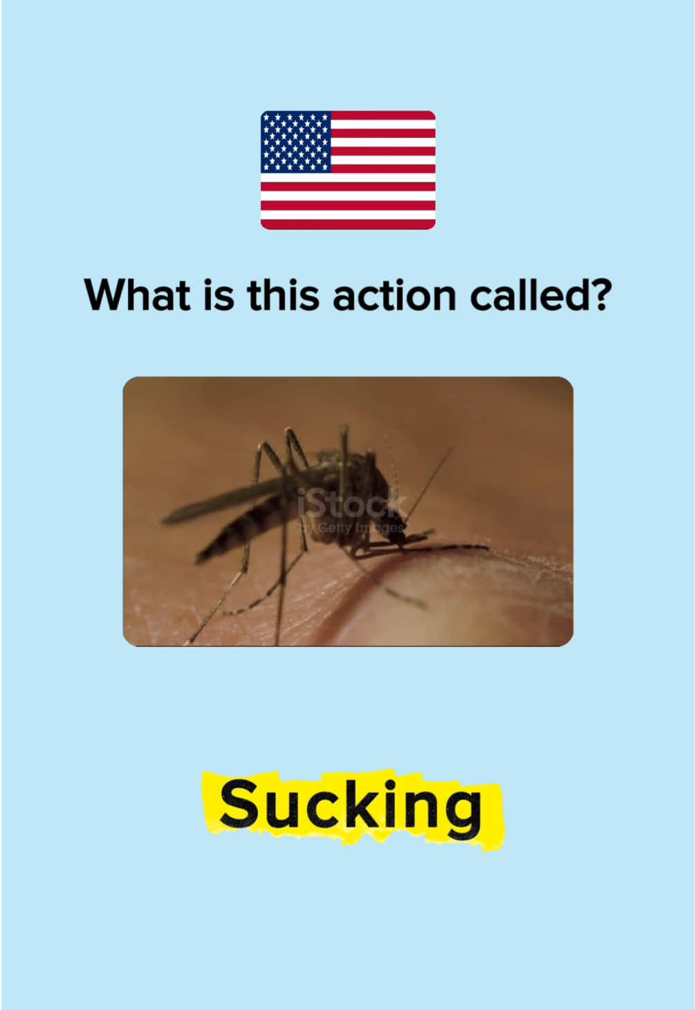 Learn Daily Actions in English #learnenglish #englishlesson #englishvocabulary #englishfluency #EduTok 