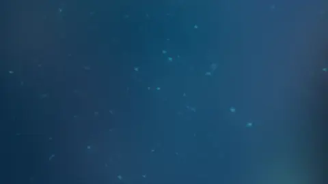 Hai Người Hai Hướng (AIR Remix) - Inso Mấy Năm Trời Yêu Thương Nay Nhìn Lại Thấy Em Phi Thường #airemix #xuhuong #vairal #hainguoihaihuong 