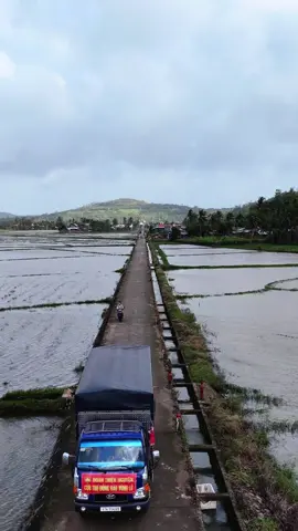 Em thay mặt cảm ơn đoàn Dak lak buôn hồ về những chuyến quà về tuy an những phần quà trao đến tận tay bà con😍😍😍@tuyetminh9292 