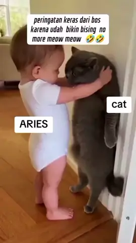 aries ♈