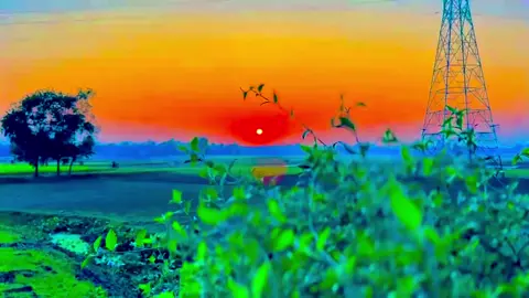 তুমি নিজের বুজ বুজও ࿐❤️‍🩹🙂🌱 #naturalview #শীতল_হাওয়া #প্রকৃতির_অপূর্ব_সৌন্দর্য🥰 #viral #bdtiktokofficial 