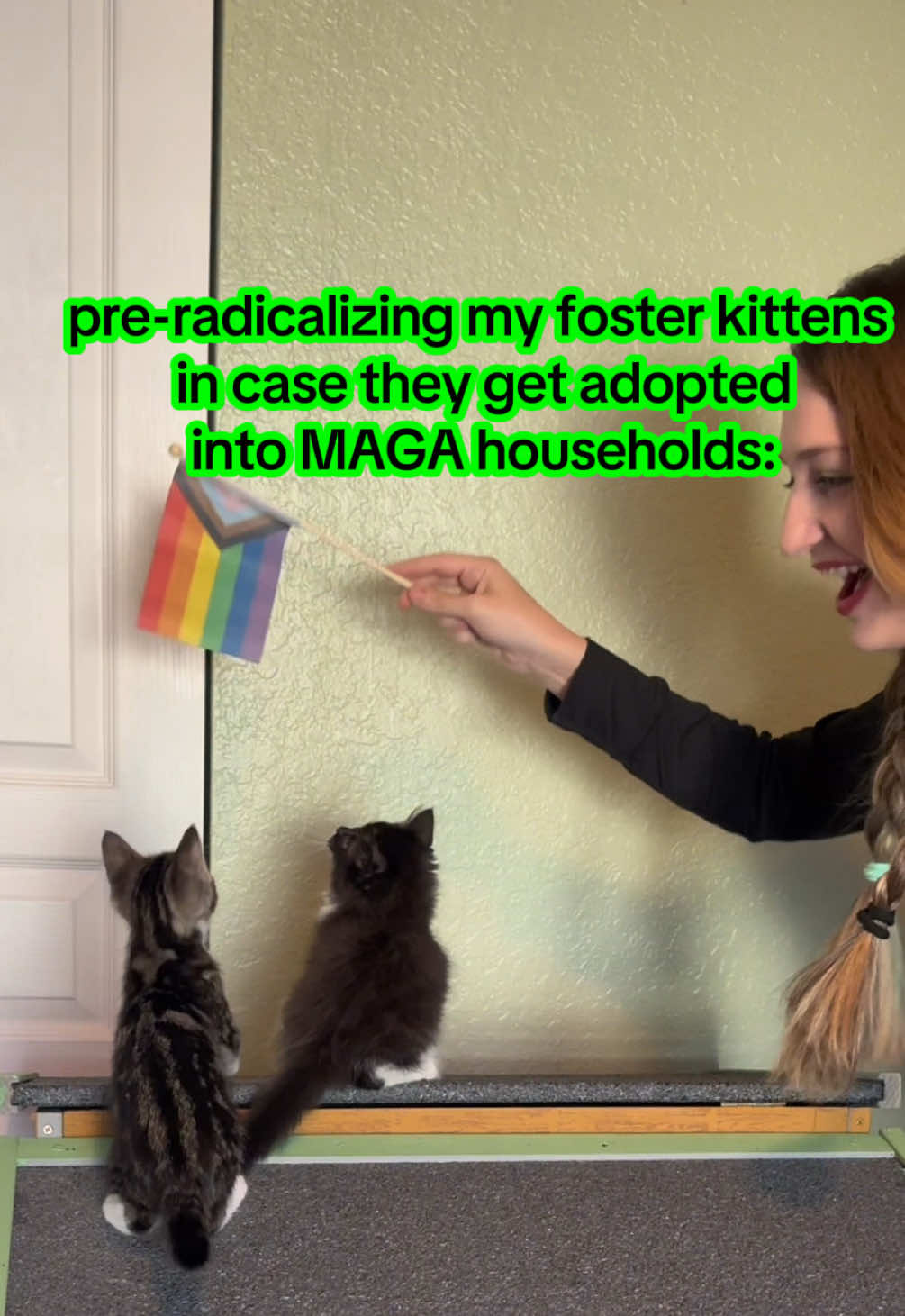 Stay safe out there, my soldiers 🫡  (Bell & Eve will be adoptable in a few more days! Eve is the snuggliest baby ever and Bell is fluffier than u can imagine… can’t choose? Get both!!!) #kittens #fosterkittens #LoveIsLove 