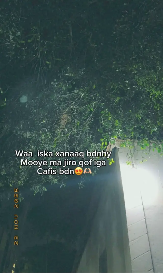 #fy #fype #viral #fypage #fyppppppppppppppppppppppp 