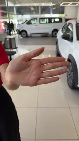 A beleza do Fastback 😮‍💨