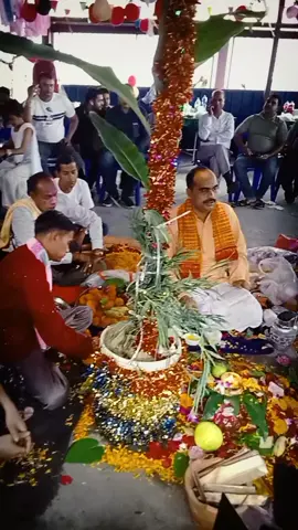 #viral_video 🥰🥰🥰🍇🍇🍇🍇🍇🍎🍎🍎🍎❤❤❤