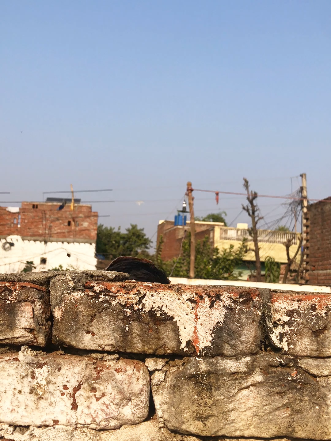 Alu wala salan ||Tiktok team plz don't under review My Videos #funny #funnyvideo #funnyvideo #comedy #comedyvideo #foryourpage❤❤ #foryoupage #unfreez_my_tiktok_id #viewsproblem #growmyaccount✅ #shakargarh #mr_skg2 #funnyvideos😂😂😂😂😂😂😂