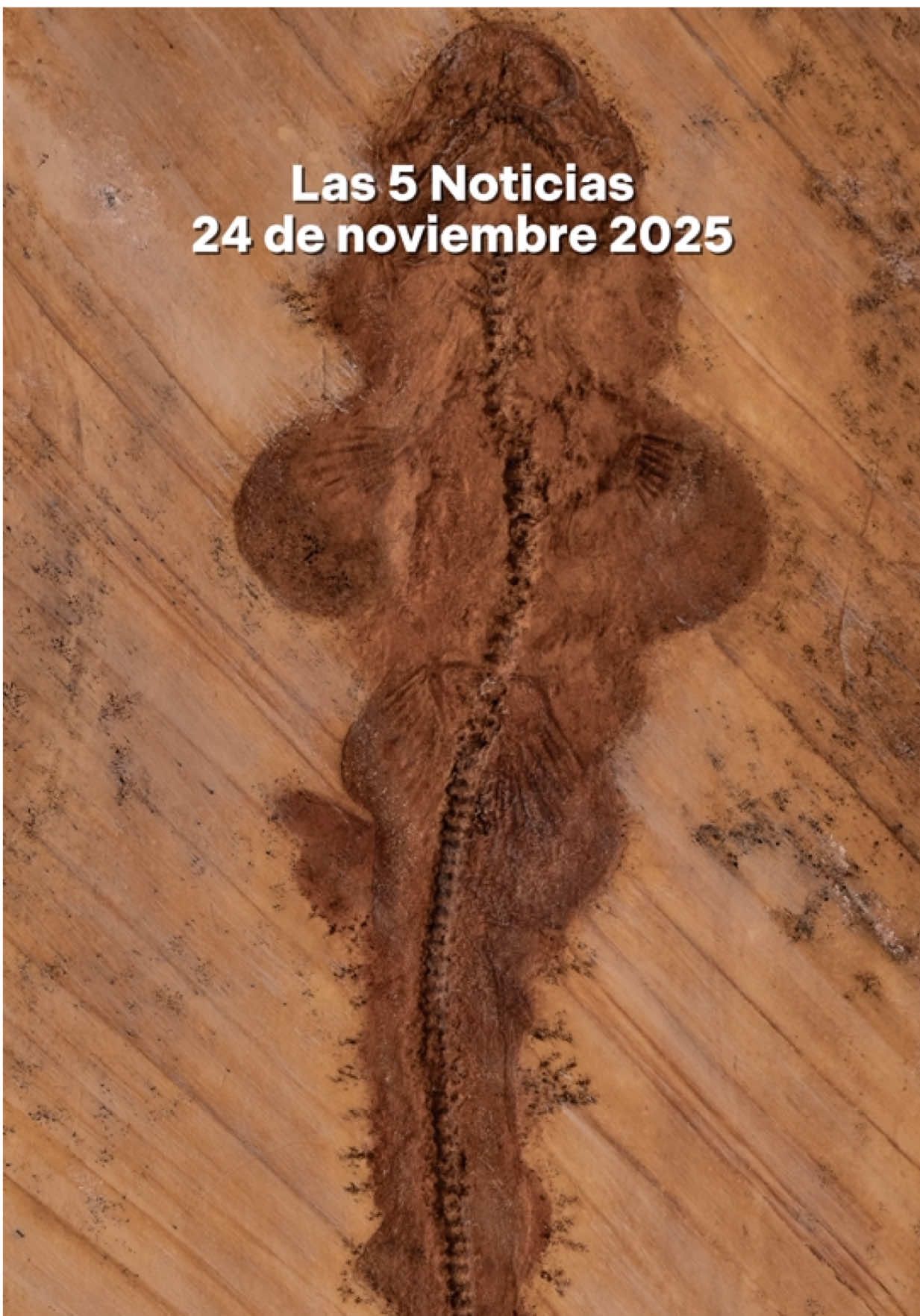 #noticias #mundo #ia 